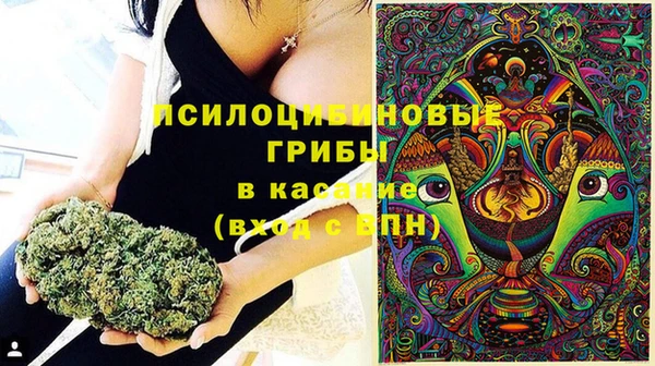сатива Покров